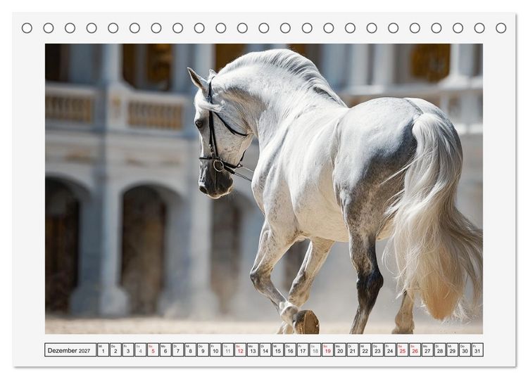 Produktbild: Spanische Eleganz. Edle Schimmel auf dem Gest&uuml;t (Tischkalender 2027 DIN A5 quer), CALVENDO Monatskalender