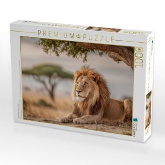 Produktbild: CALVENDO Puzzle Majest&auml;tischer L&ouml;we in Afrika | 1000 Teile Lege-Gr&ouml;&szlig;e 64x48cm Foto-Puzzle f&uuml;r gl&uuml;ckliche Stunden