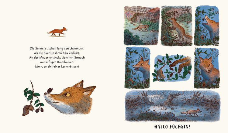 Produktbild: Wunder der Natur. Das Gute-Nacht-Buch