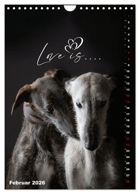 Produktbild: dogmuse deluxe (Wandkalender 2026 DIN A4 hoch), CALVENDO Monatskalender