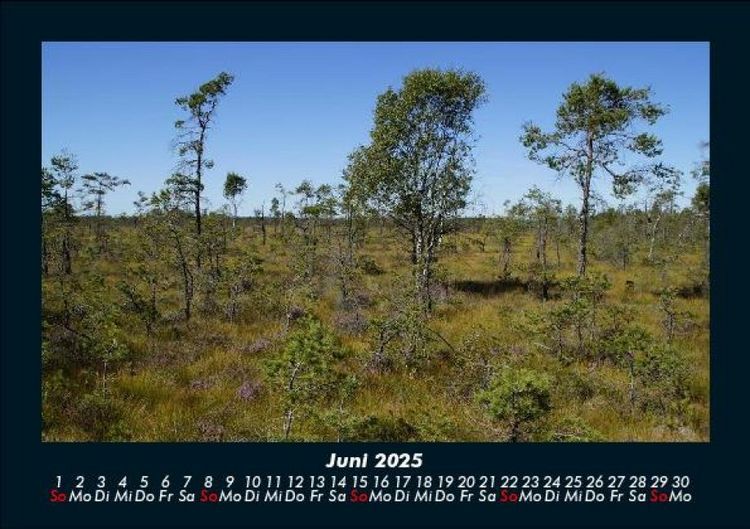 Produktbild: Naturlandschaften 2025 Fotokalender DIN A5