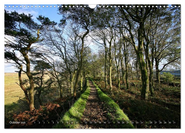Produktbild: Wild Beauty of Cumbria (Wall Calendar 2026 DIN A3 landscape), CALVENDO 12 Month Wall Calendar