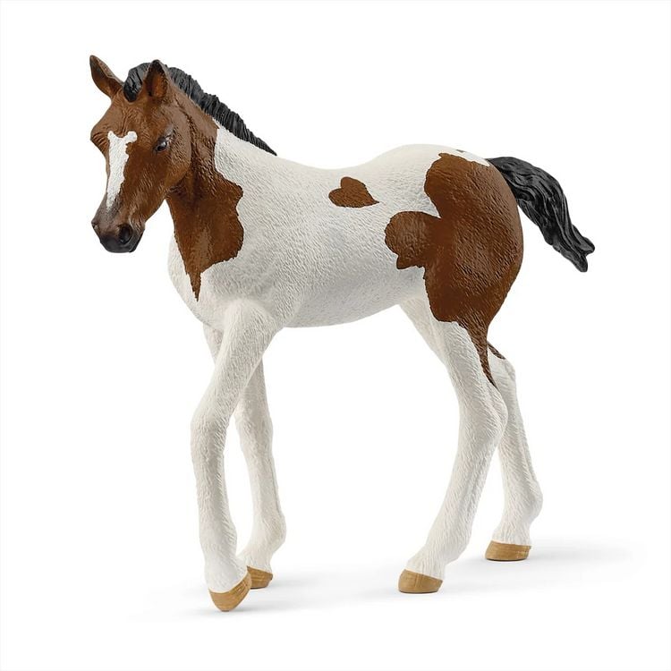 Produktbild: Paint Horse Fohlen