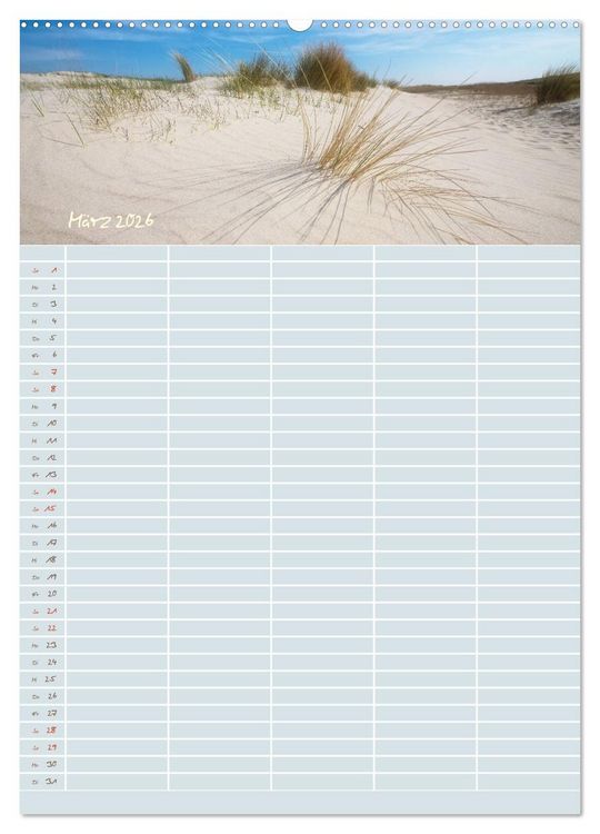 Produktbild: Kleine Sand-Sch&ouml;nheiten / Familienplaner (Wandkalender 2026 DIN A2 hoch), CALVENDO Monatskalender