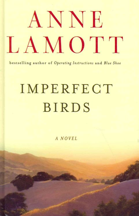 Produktbild: Imperfect Birds