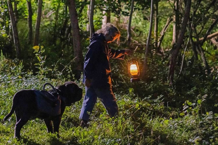 Produktbild: Lou - Abenteuer auf Samtpfoten