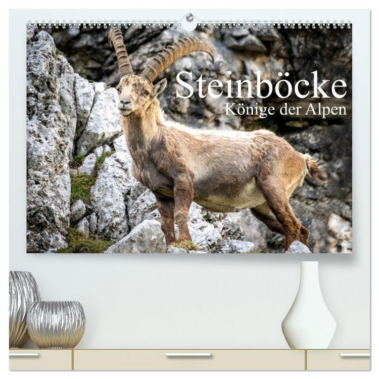 Produktbild: Steinb&ouml;cke - Majest&auml;tische Tiere der Alpen (hochwertiger Premium Wandkalender 2026 DIN A2 quer), Kunstdruck in Hochglanz