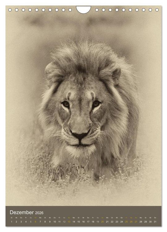 Produktbild: Afrikas Tierwelt - Sepia-Art (Wandkalender 2026 DIN A4 hoch), CALVENDO Monatskalender
