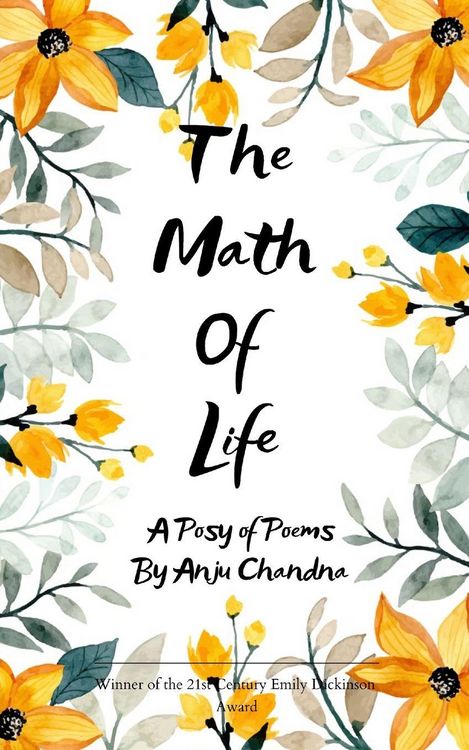 Produktbild: The Math Of Life