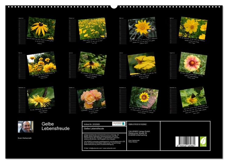 Produktbild: Gelbe Lebensfreude (hochwertiger Premium Wandkalender 2026 DIN A2 quer), Kunstdruck in Hochglanz