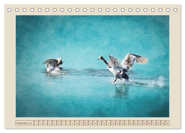 Produktbild: V&ouml;gel am Chemnitzer Schlossteich (Tischkalender 2027 DIN A5 quer), CALVENDO Monatskalender