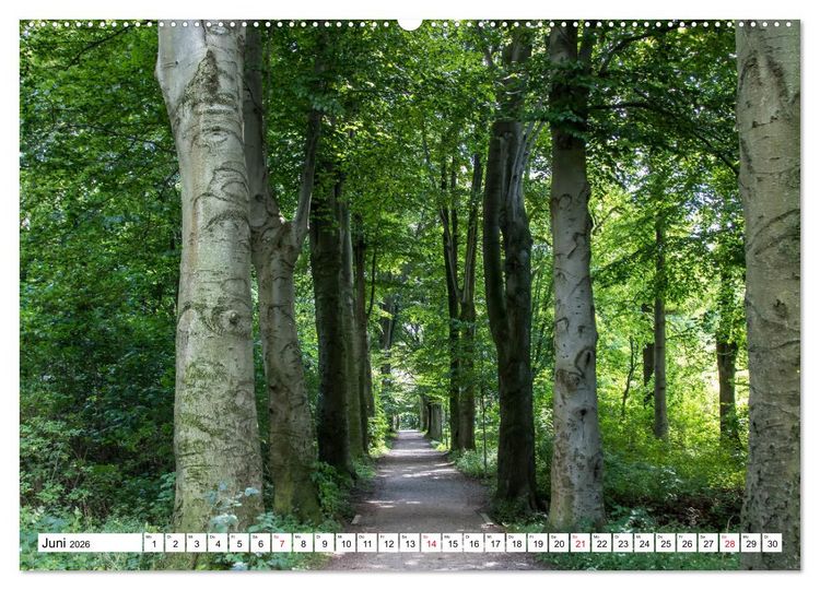 Produktbild: Langenhagen erleben (hochwertiger Premium Wandkalender 2026 DIN A2 quer), Kunstdruck in Hochglanz