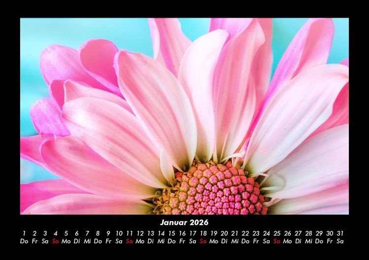 Produktbild: Blumentr&auml;ume 2026 Fotokalender DIN A3