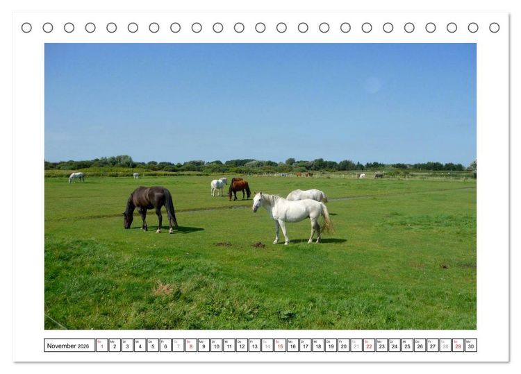 Produktbild: Borkum - Ostfriesische Insel mit Charme (Tischkalender 2026 DIN A5 quer), CALVENDO Monatskalender