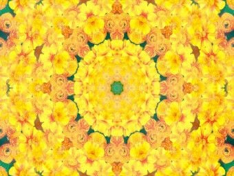 Produktbild: CALVENDO Puzzle Gelbe Energie | 1000 Teile Lege-Gr&ouml;&szlig;e 64x48cm Foto-Puzzle f&uuml;r gl&uuml;ckliche Stunden