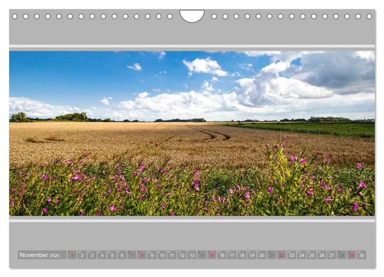 Produktbild: Ostfriesland - Deichspaziergang (Wandkalender 2026 DIN A4 quer), CALVENDO Monatskalender