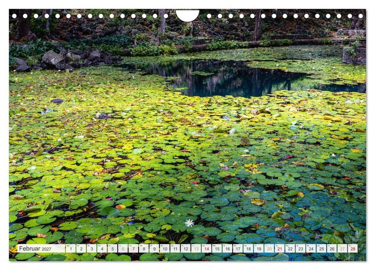 Produktbild: Trauminseln der Welt - Mauritius (Wandkalender 2027 DIN A4 quer), CALVENDO Monatskalender