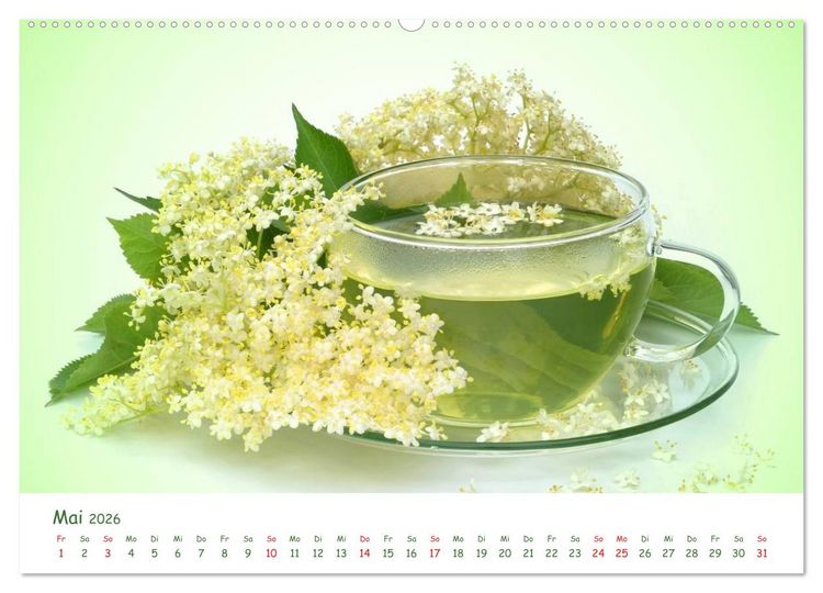 Produktbild: Arzneipflanzen (Wandkalender 2026 DIN A2 quer), CALVENDO Monatskalender