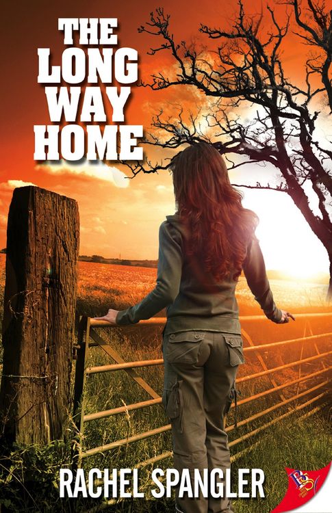 Produktbild: The Long Way Home