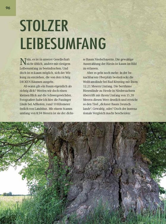 Produktbild: Faszinierende B&auml;ume in Niederbayern