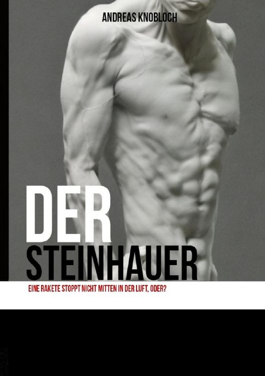 Produktbild: Der Steinhauer