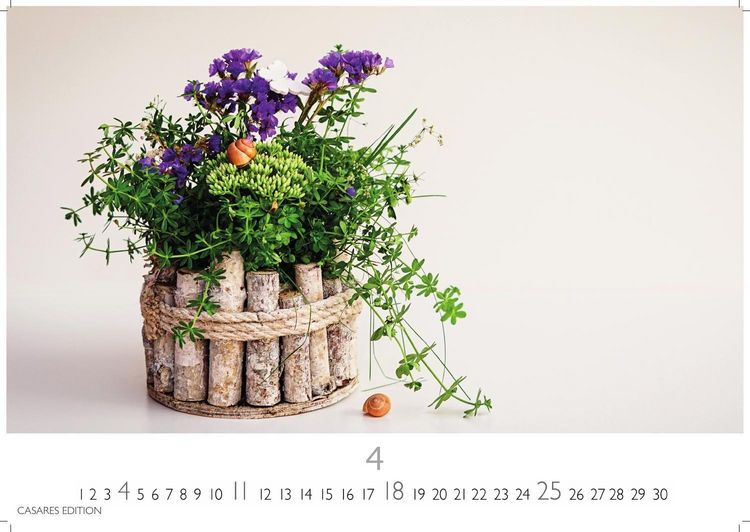 Produktbild: Flower Fantasy Kalender 2027 &ndash; Wandkalender | Fotokalender Naturkalender | Blumenkalender | 24x35cm - Wundersch&ouml;ne Blumenfotos in bestechender &Auml;sthetik