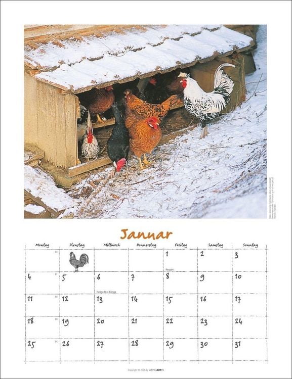 Produktbild: Der H&uuml;hnerkalender 2027