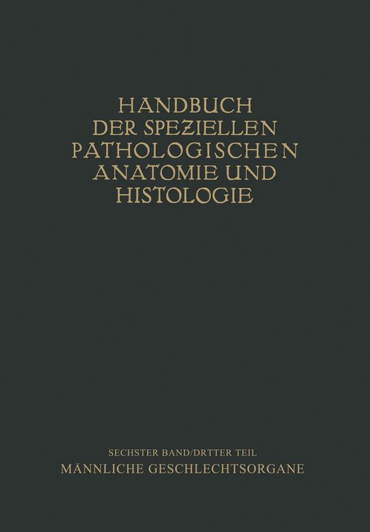 Produktbild: Harnorgane M&auml;nnliche Geschlechtsorgane