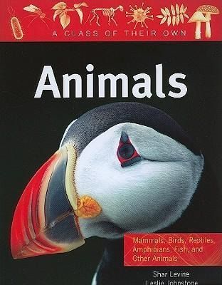 Produktbild: Animals: Mammals, Birds, Reptiles, Amphibians, Fish, and Other Animals