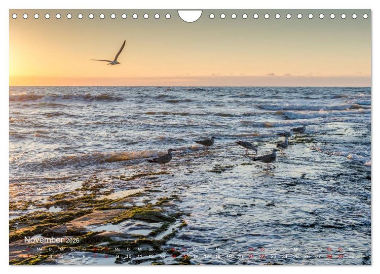 Produktbild: Flandern - Stadt und Strand (Wandkalender 2026 DIN A4 quer), CALVENDO Monatskalender