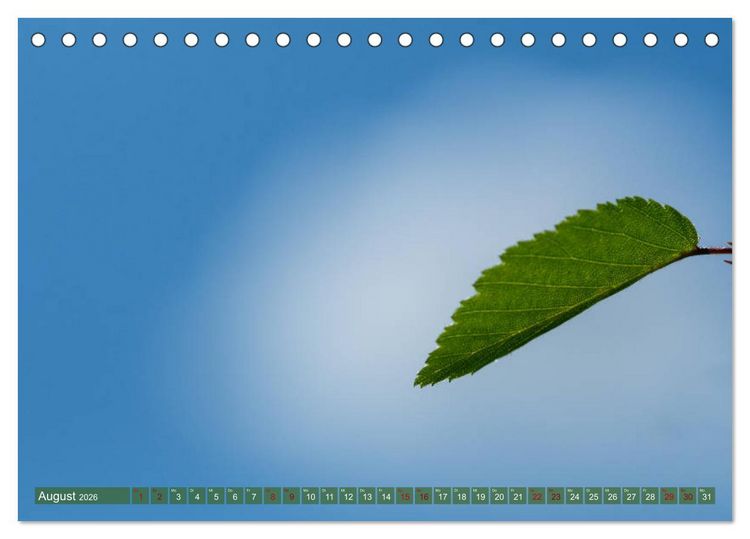 Produktbild: Bonsai ganz nah (Tischkalender 2026 DIN A5 quer), CALVENDO Monatskalender