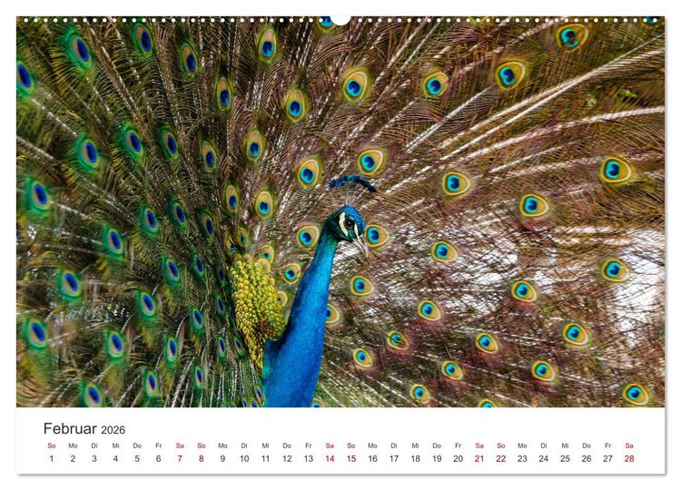 Produktbild: Venezuela - Eine Reise entlang der Karibikk&uuml;ste. (Wandkalender 2026 DIN A2 quer), CALVENDO Monatskalender