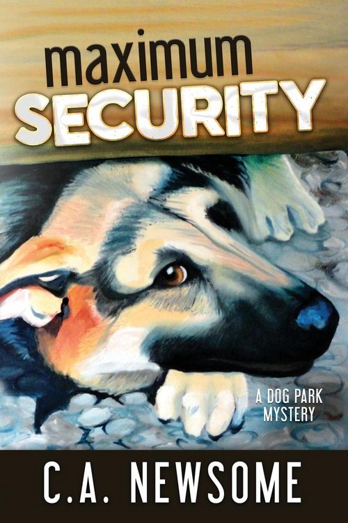 Produktbild: Maximum Security