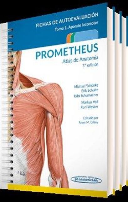 Produktbild: PROMETHEUS. Atlas de Anatom&iacute;a.Fichas de autoevaluaci&oacute;n: Colecci&oacute;n 3 tomos: Aparato Locomotor, &Oacute;rganos internos, Cabeza y Cuello.
