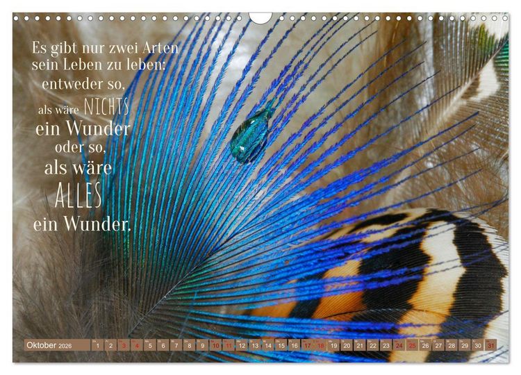 Produktbild: Jeder ist ein Genie! Zitate von Albert Einstein (Wandkalender 2026 DIN A3 quer), CALVENDO Monatskalender