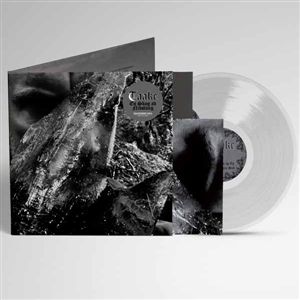 Produktbild: En Skog Av Nidstang (Clear Vinyl)