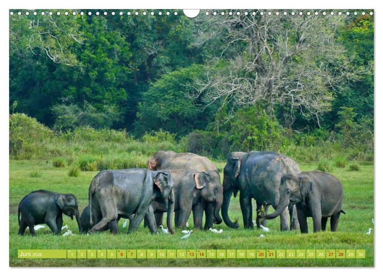 Produktbild: Sri Lanka, Gr&uuml;ne Berge - unber&uuml;hrte Natur (Wandkalender 2026 DIN A3 quer), CALVENDO Monatskalender