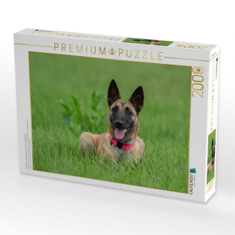 Produktbild: CALVENDO Puzzle Ein Motiv aus dem Kalender Traumhund Malinois | 2000 Teile Lege-Gr&ouml;&szlig;e 90x67cm Foto-Puzzle f&uuml;r gl&uuml;ckliche Stunden