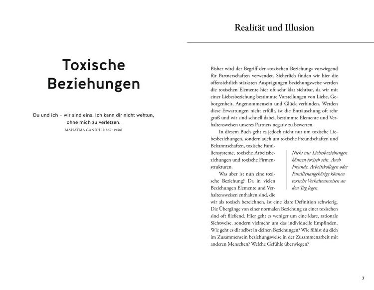 Produktbild: Toxische Beziehungen schamanisch heilen