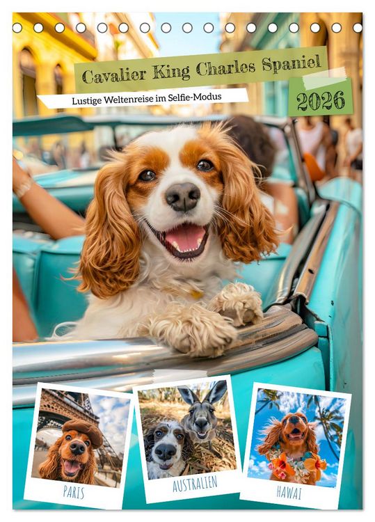 Produktbild: Cavalier King Charles Spaniel - Lustige Weltenreise im Selfie-Modus (Tischkalender 2026 DIN A5 hoch), CALVENDO Monatskalender