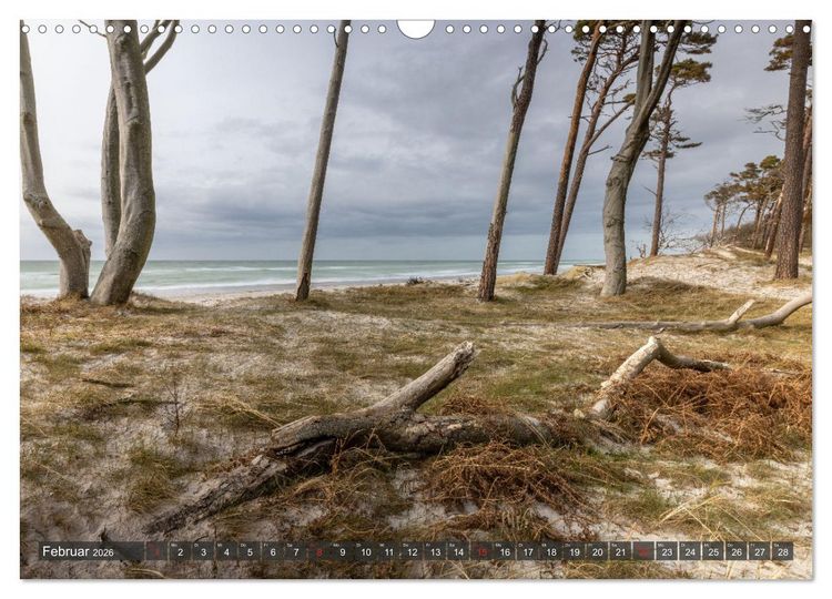 Produktbild: Dar&szlig;-Zingst Naturimpressionen (Wandkalender 2026 DIN A3 quer), CALVENDO Monatskalender