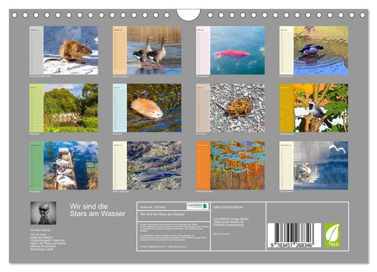 Produktbild: Wir sind die Stars am Wasser (Wandkalender 2026 DIN A4 quer), CALVENDO Monatskalender
