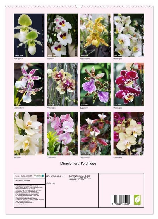 Produktbild: Miracle floral l'orchid&eacute;e (Calendrier mural 2026 DIN A2 horizontal) calendrier de bureau