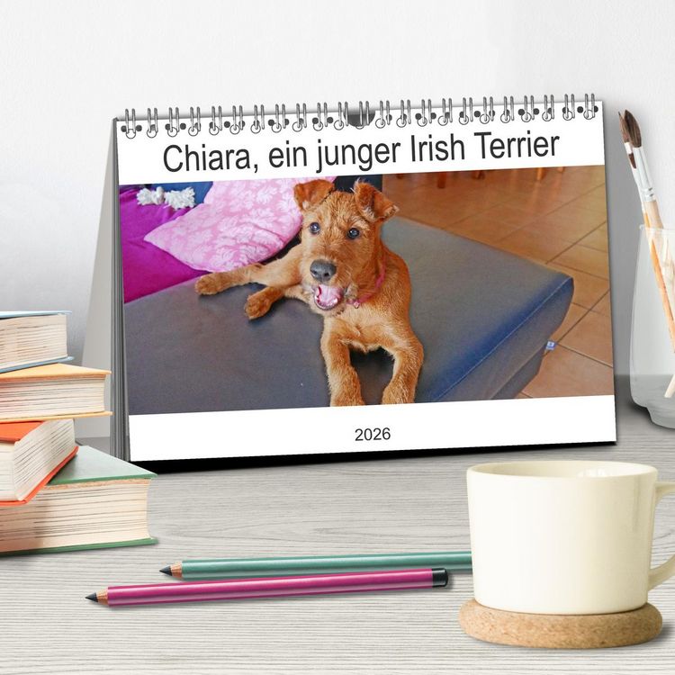 Produktbild: Chiara, ein junger Irish Terrier (Tischkalender 2026 DIN A5 quer), CALVENDO Monatskalender