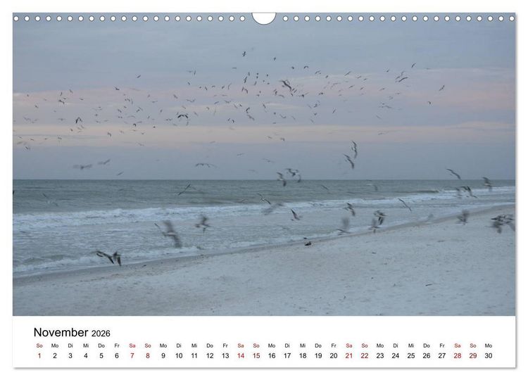 Produktbild: M&ouml;wen am Meer (Wandkalender 2026 DIN A3 quer), CALVENDO Monatskalender