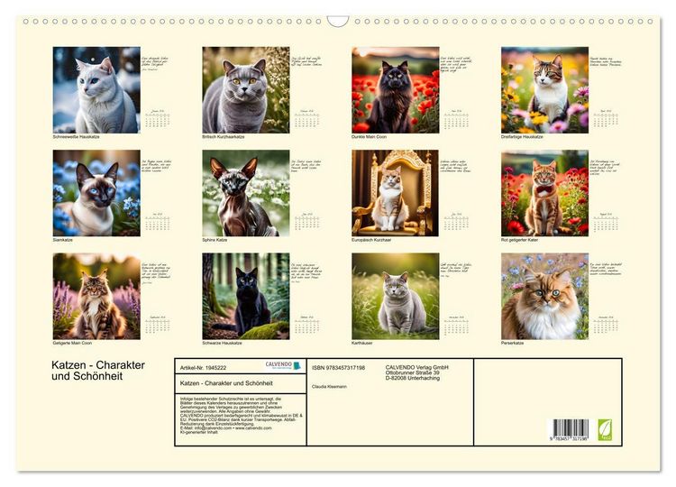 Produktbild: Katzen - Charakter und Sch&ouml;nheit (Wandkalender 2026 DIN A2 quer), CALVENDO Monatskalender