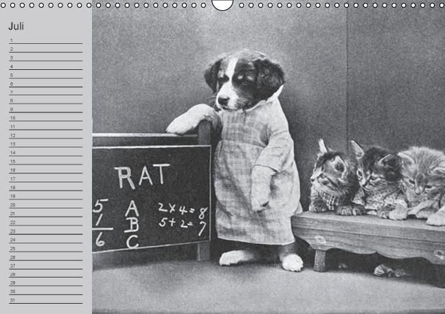 Produktbild: Katzen und Hunde - Nostalgie auf Pfoten (Wandkalender immerw&auml;hrend DIN A3 quer)