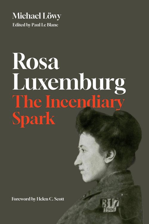 Produktbild: Rosa Luxemburg: The Incendiary Spark