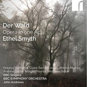 Produktbild: Der Wald