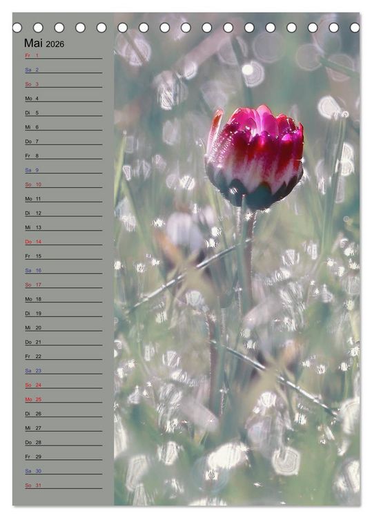Produktbild: Pastell-Zauber (Tischkalender 2026 DIN A5 hoch), CALVENDO Monatskalender